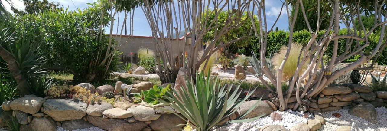 La Picholine Bed & Breakfast Sorede Bagian luar foto